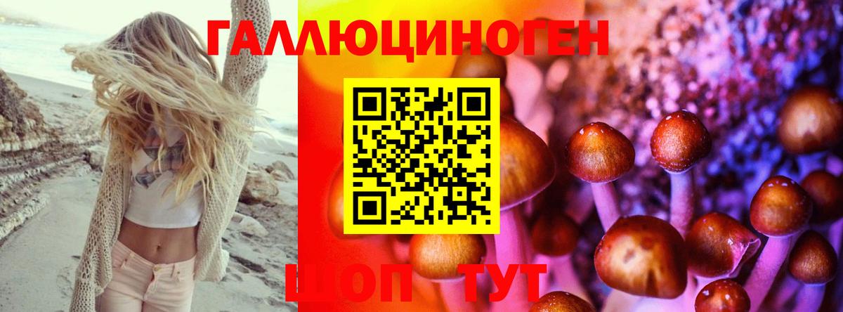 Прохладный  Галлюциногенные грибы Psilocybine cubensis  Псилоцибиновые грибы Magic Shrooms  Вход с VPN 